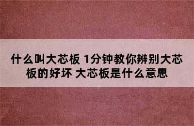 什么叫大芯板 1分钟教你辨别大芯板的好坏 大芯板是什么意思